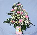 01B Baby Girl Arrangement