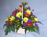 01B Congratulations Arrangement