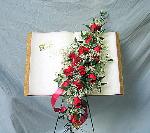 01B Fresh Bible