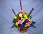 01F Congratulations Arrangement