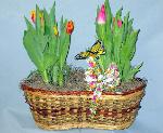 01F Spring Bulb Garden
