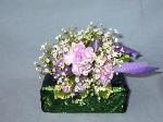 01N Prom Wrist Corsage