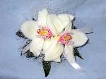01Q Prom Wrist Corsage