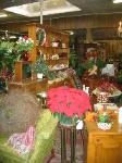 Shop Pic 005