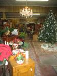 Shop Pic 006