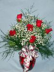 01J 6 Red Roses Arranged