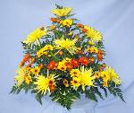 FALL13 Fall Arrangement