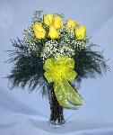 01R 6 Yellow Roses Arranged