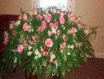 Fresh Casket Spray CSK41