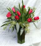 Christmas Tulips.